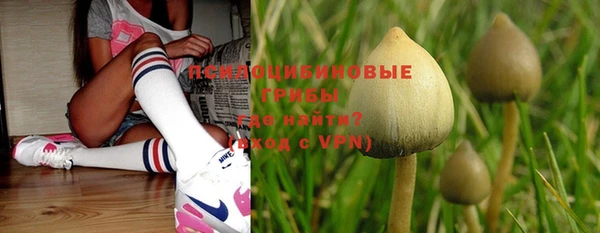 не бодяженный Белокуриха
