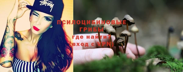 эйфоретик Новокубанск