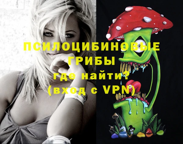 не бодяженный Белокуриха