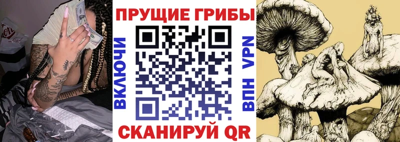 как найти   Курлово  Псилоцибиновые грибы ЛСД 